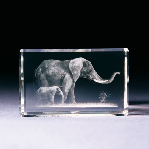 Glasblock - Elefant mit Baby - 680778 - Natur- - - 