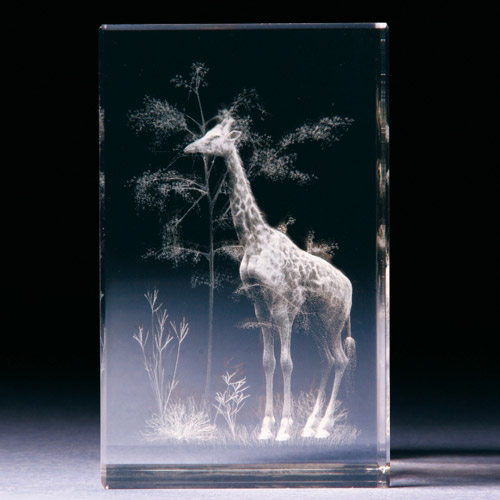 Glasblock - Giraffe - 680780 - Natur- - - 