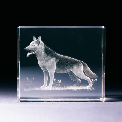 Glasblock - Schaeferhund - 680783 - Natur- - - 