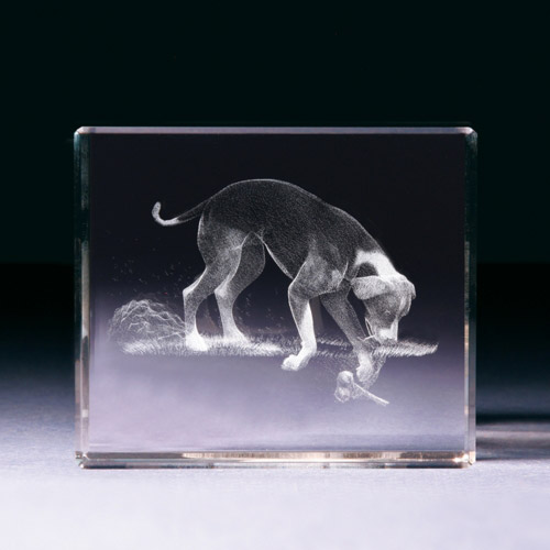 Glasblock - Hund grabend - 680784 - Natur- - - 