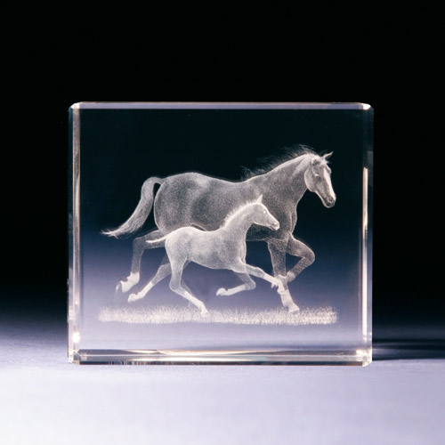 Glasblock - Pferd mit Fohlen - 680786 - Tiere- - - 