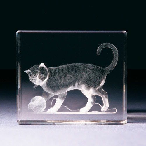 Glasblock - Katze mit Wollknaeuel - 680790 - Tiere- - - 