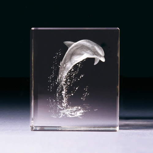 Glasblock - Delphin - 680791 - Natur- - - 