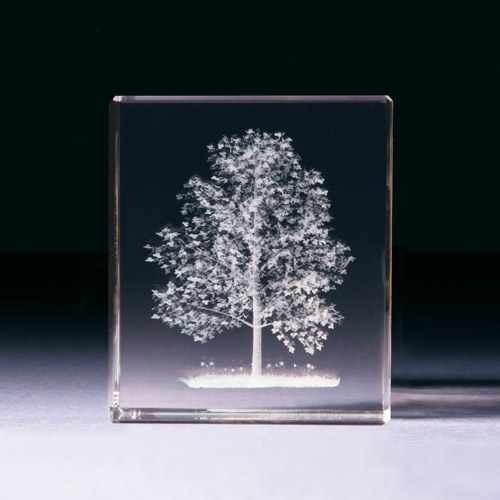 Glasblock - Baum - 681004 - Natur- - - 