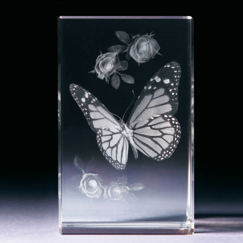 Glasblock - Schmetterling - 681005 - Natur- - - 