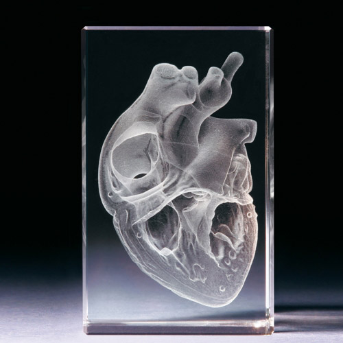 Glasblock - Herz anatomisch - 681008 - Natur- - - 