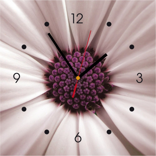 Wanduhr Foto Bluete - 866006 - Wanduhren- - - 