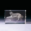 Glasblock - Leopard