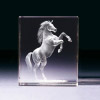 Glasblock - Mustang
