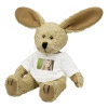 Foto-Hase 