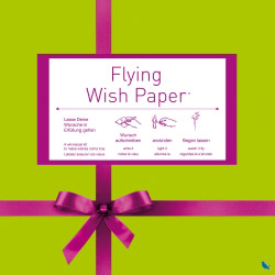  flying wish paper ribbon