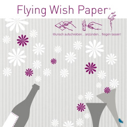  Flying Wish Paper Party