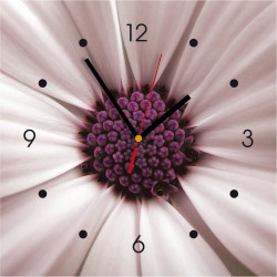  Wanduhr Foto Blüte