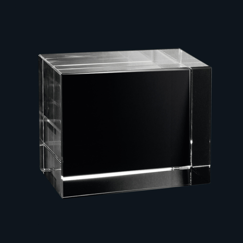  3D Portrait  in Glas